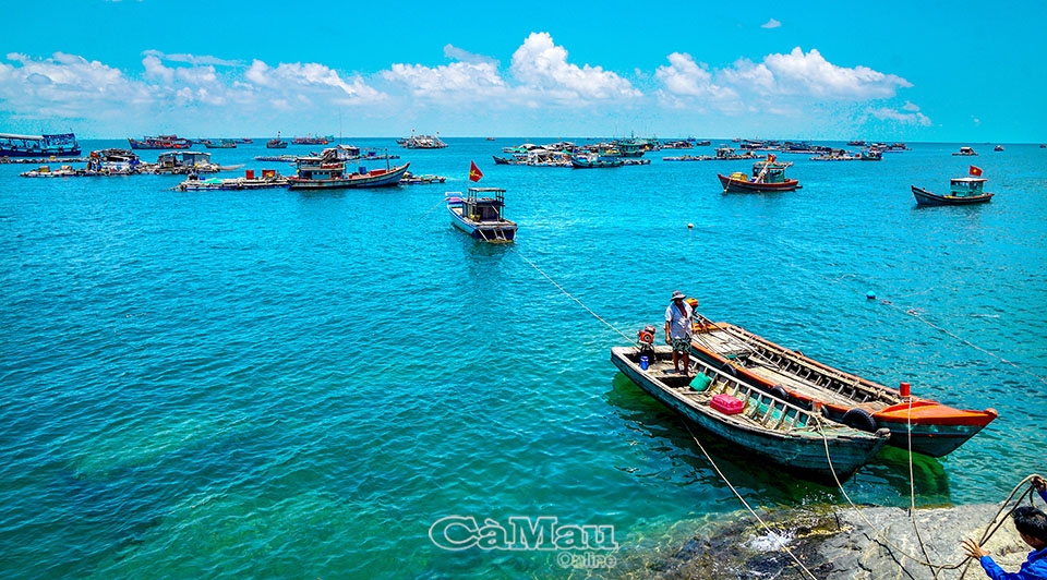 Cà Mau: Xanh xanh biển, đảo quê hương