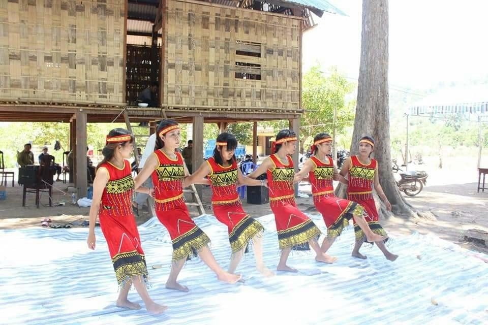 Vườn quốc gia Phước Bình điểm đến sinh thái lý tưởng mùa hè này Vườn quốc gia Phước Bình điểm đến sinh thái lý tưởng mùa hè này