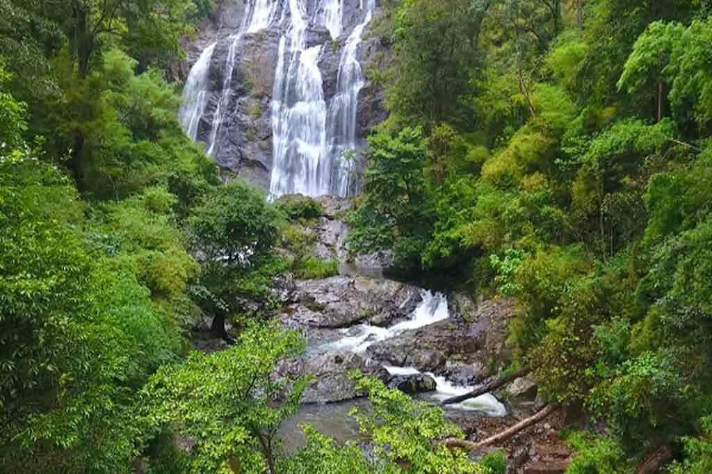 Vườn quốc gia Phước Bình điểm đến sinh thái lý tưởng mùa hè này