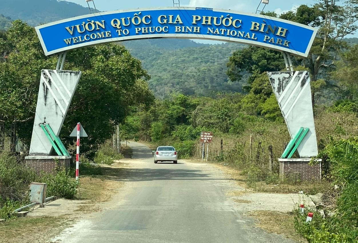 Vườn quốc gia Phước Bình điểm đến sinh thái lý tưởng mùa hè này Vườn quốc gia Phước Bình điểm đến sinh thái lý tưởng mùa hè này