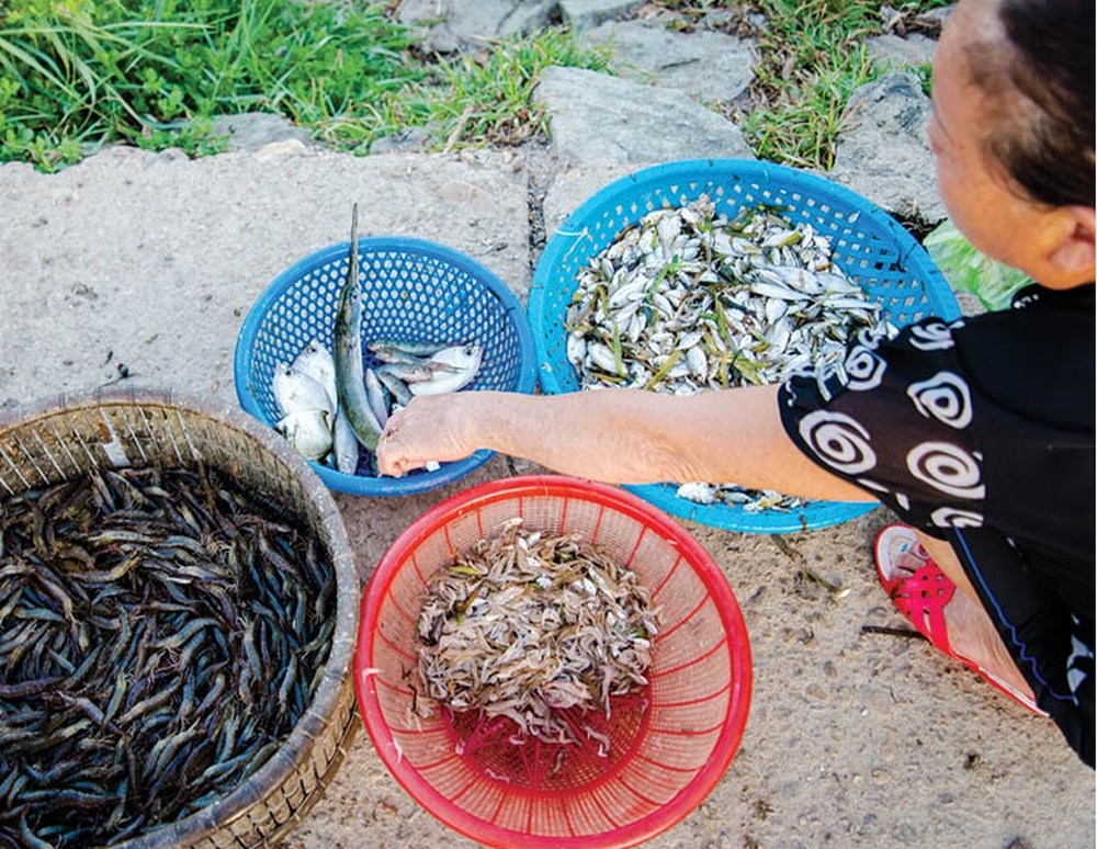 Chèo thuyền & thưởng thức món ngon trên phá Tam Giang Chèo thuyền & thưởng thức món ngon trên phá Tam Giang