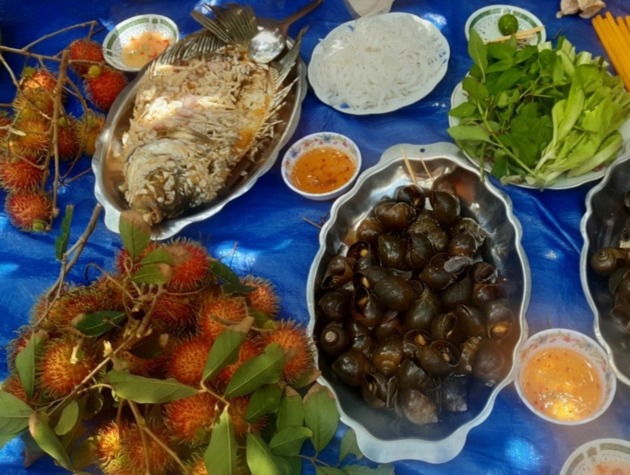 Mùa chôm chôm chín - đặc sản hương vị cù lao An Bình