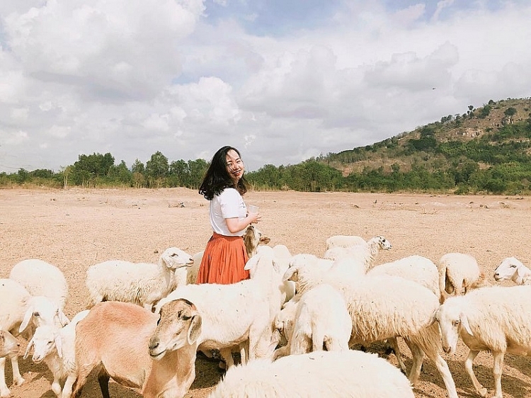 Khám phá điểm đến ngày hè – Đồng cừu ở Đồng Nai