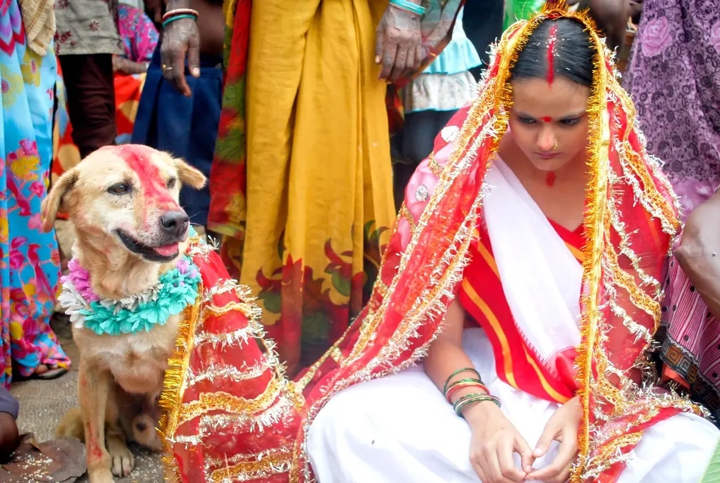 Độc đáo phong tục cưới hỏi lạ thường của người của người Ấn Độ