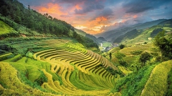 Việt Nam sở hữu 2 ruộng bậc thang đẹp nhất thế giới