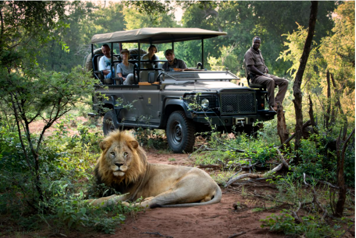 Những nơi tuyệt vời nhất để du lịch Safari trong tương lai