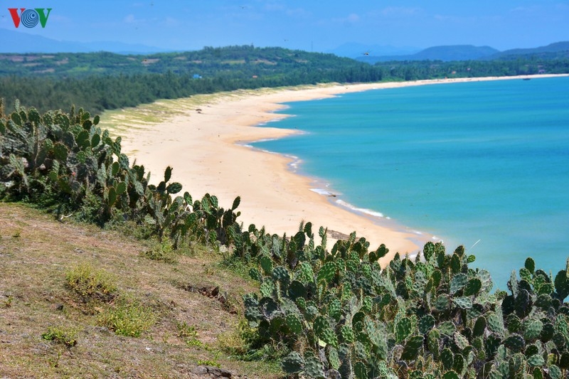 Vi vu ở những điểm đến an toàn, hấp dẫn của du lịch Việt Nam vi vu o nhung diem den an toan hap dan cua du lich viet nam