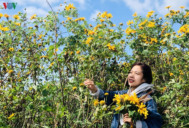 Vi vu ở những điểm đến an toàn, hấp dẫn của du lịch Việt Nam vi vu o nhung diem den an toan hap dan cua du lich viet nam