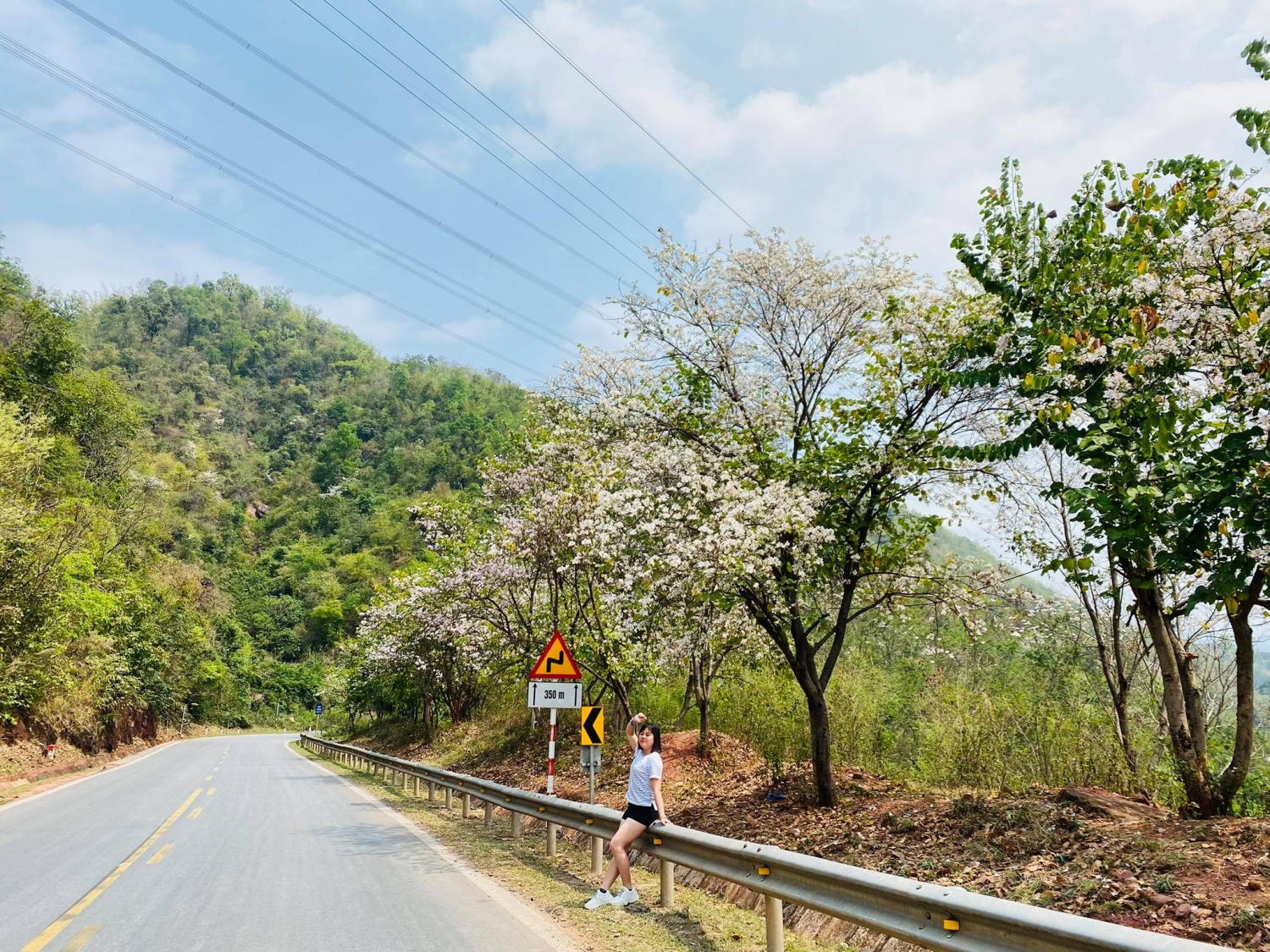 Đẹp ngỡ ngàng hoa ban Mộc Châu tháng Ba Đẹp ngỡ ngàng hoa ban Mộc Châu tháng Ba