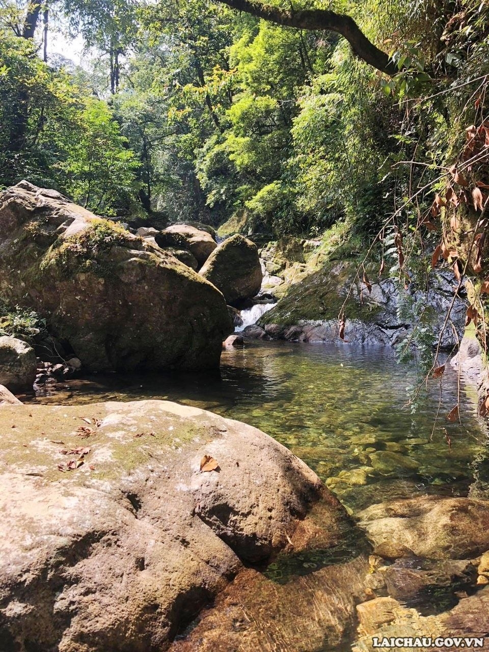 Săn hoa Đỗ Quyên trên đỉnh Pu Ta Leng