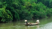 Trải nghiệm bơi thuyền trên sông Ba Chẽ