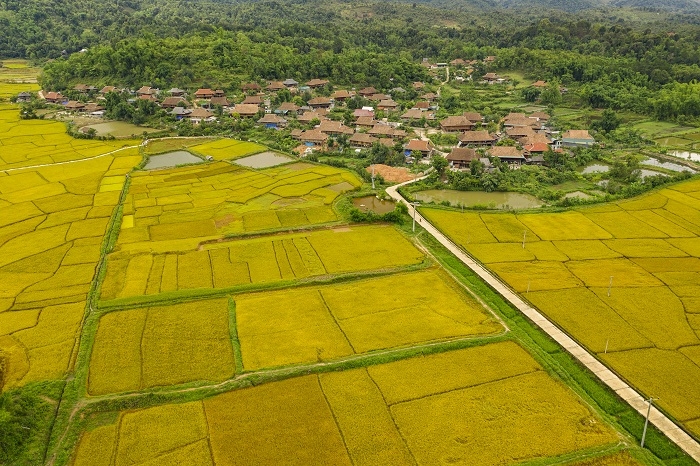 Bản văn hóa du lịch Che Căn - Điểm du lịch cộng đồng hấp dẫn ở Mường Phăng