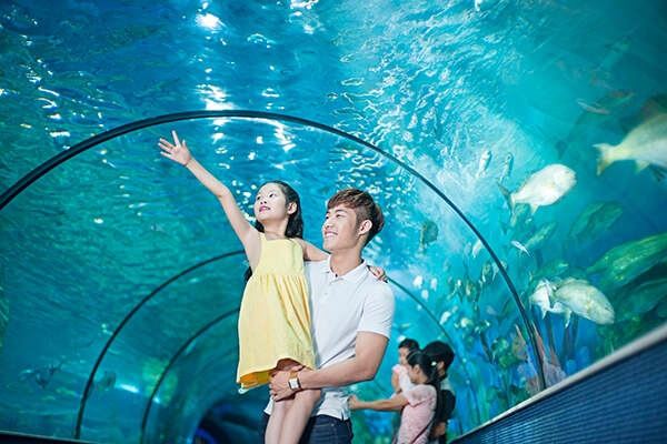 hay cho tre kham pha nhung khu vui choi o ha noi dip nghi le 29