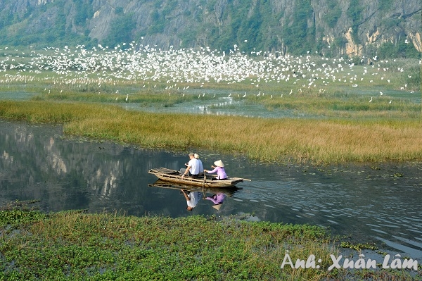 Vân Long - Khu bảo tồn thiên nhiên đất ngập nước lớn nhất vùng đồng bằng châu thổ sông Hồng