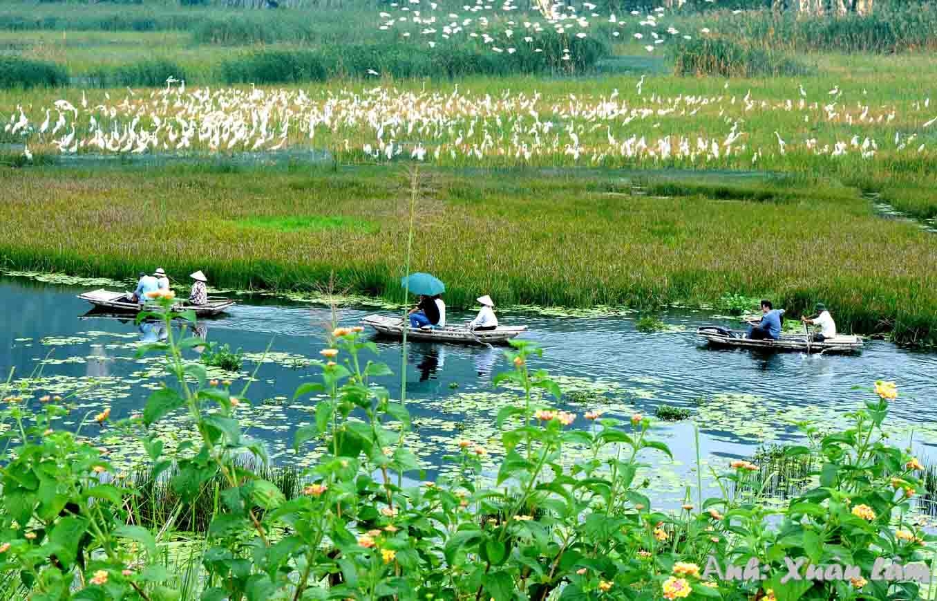 Van Long - The largest wetland nature reserve in the Red River Delta