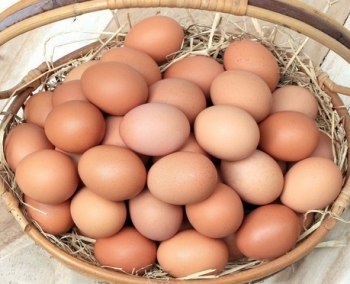 Những cách đơn giản bảo quản trứng được tươi lâu hơn