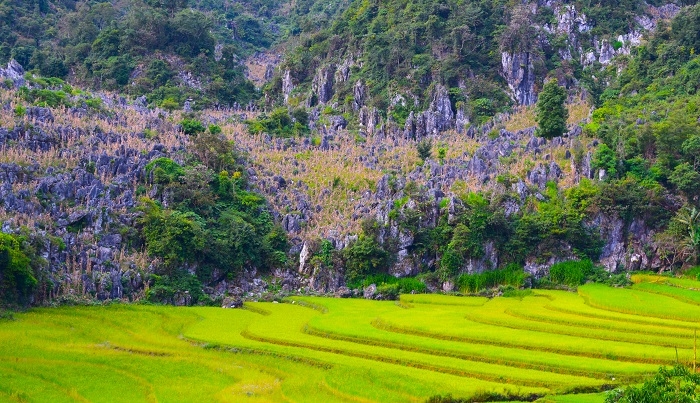 Đẹp nao lòng trên những thửa ruộng bậc thang Tủa Chùa Đẹp nao lòng trên những thửa ruộng bậc thang Tủa Chùa