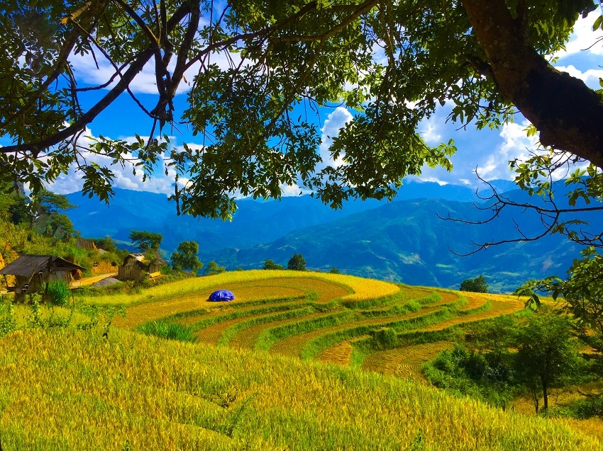 Đẹp nao lòng trên những thửa ruộng bậc thang Tủa Chùa Đẹp nao lòng trên những thửa ruộng bậc thang Tủa Chùa