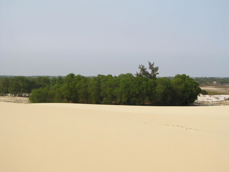 Nhĩ Hạ, tiểu sa mạc độc đáo ở Quảng Trị