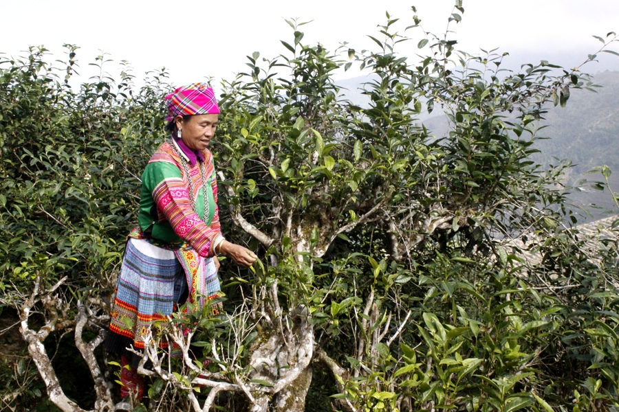 Ngài Là Thầu - Bình yên nơi biên cương Ngài Là Thầu - Bình yên nơi biên cương