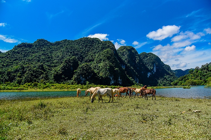 Chiêm ngưỡng vẻ đẹp Đồng Lâm Chiêm ngưỡng vẻ đẹp Đồng Lâm