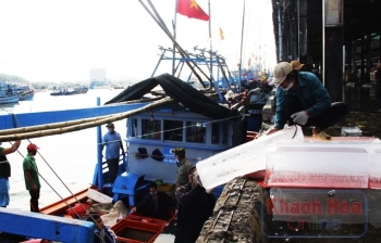Khánh Hòa: Rộn ràng chuyến biển xuyên Tết