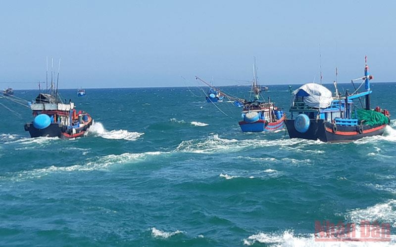Hỗ trợ hơn 2,4 nghìn tỷ đồng cho ngư dân Quảng Ngãi bám biển xa