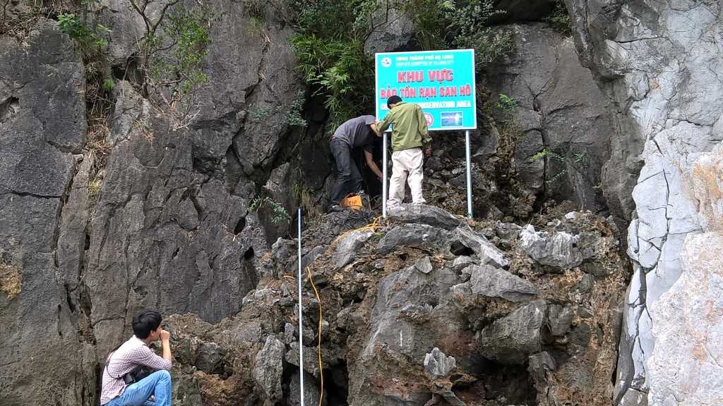 Quảng Ninh: Gìn giữ san hô trên Vịnh Hạ Long