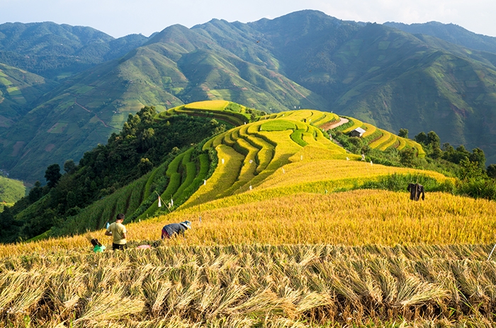 Săn mây ở Tà Xùa