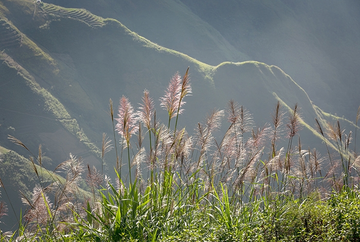 Săn mây ở Tà Xùa