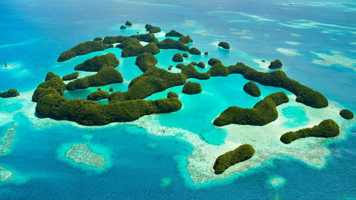 Đảo quốc Palau: Tấm gương bảo tồn hệ sinh thái biển