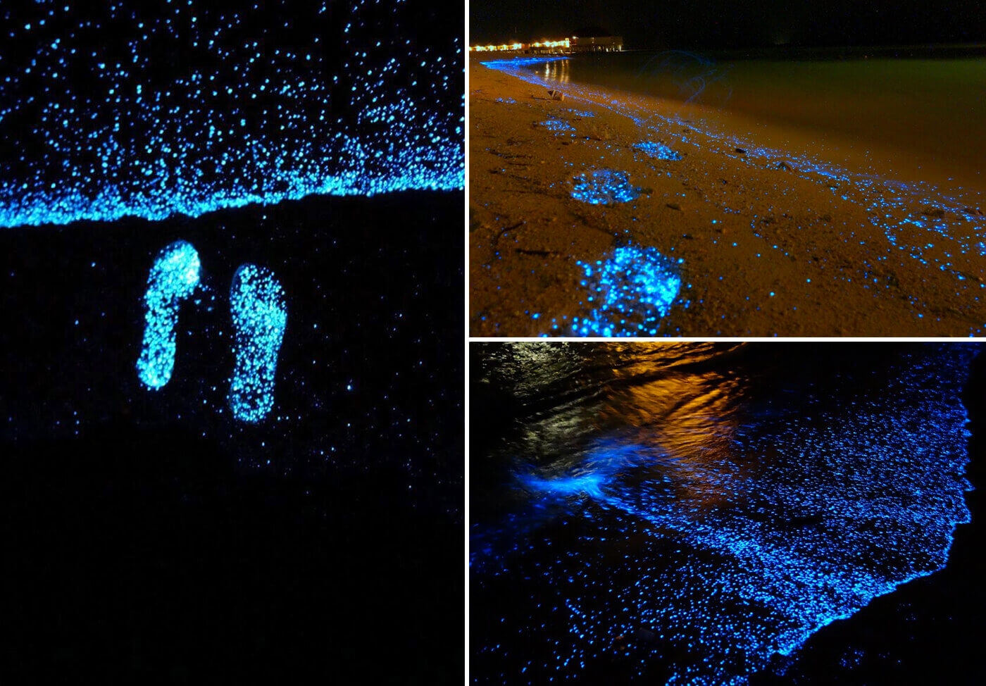 Kỳ ảo bãi biển phát sáng ở Maldives