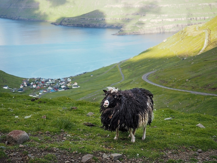 Khám phá vẻ đẹp thanh bình của quần đảo Faroe kham pha ve dep thanh binh cua quan dao faroe