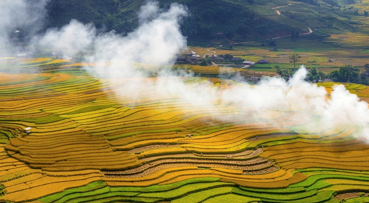 len lich ghe mua vang mu cang chai va trai nghiem festival du luon 2018