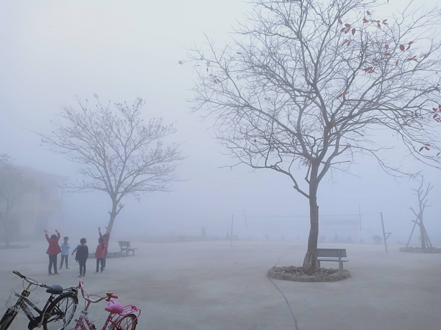  Sương mù bao trùm sân trường học vào buổi sáng.