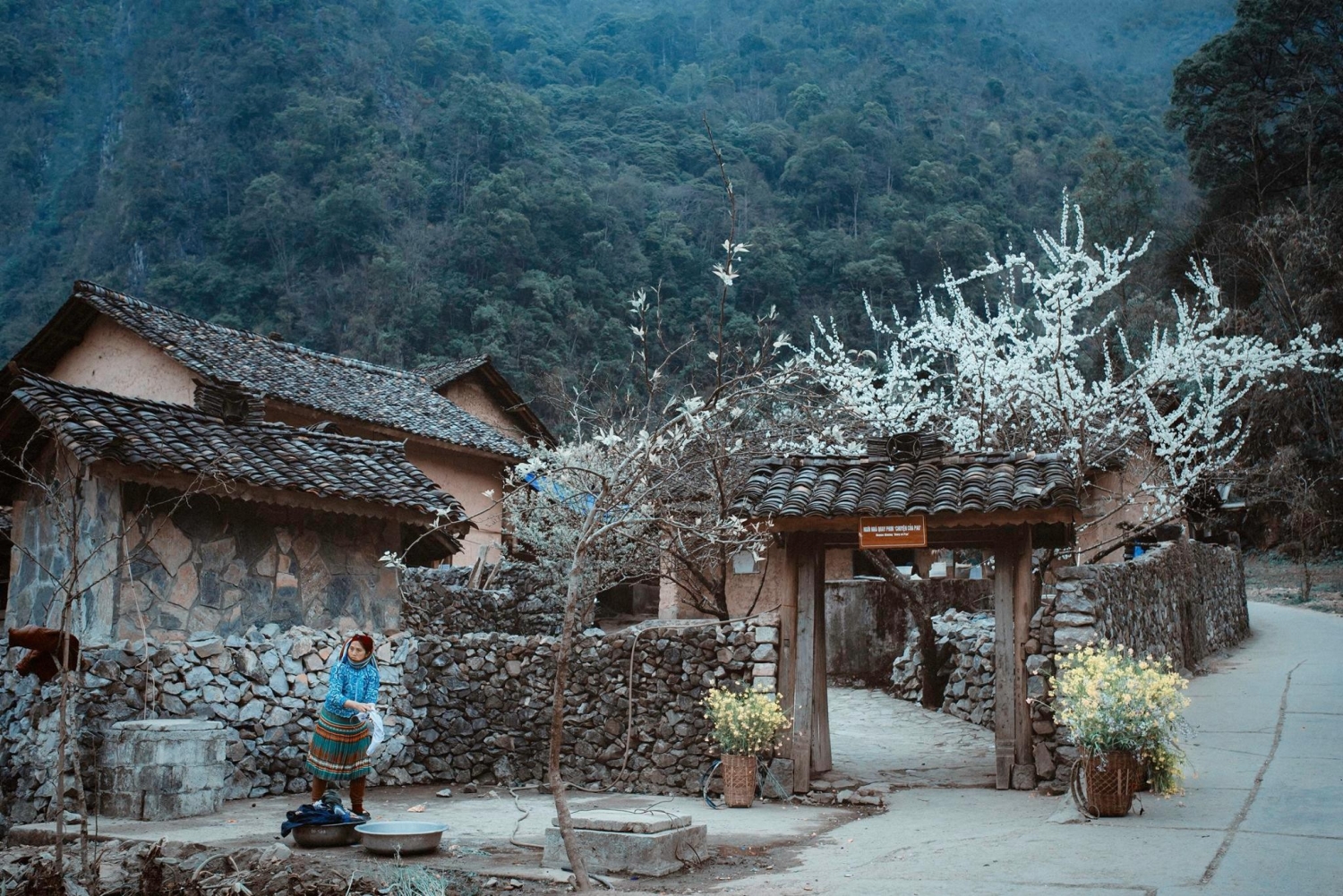 Thăm "Nhà của Pao" và khám phá nét văn hóa độc đáo - Đài Phát thanh và  Truyền hình Hà Giang