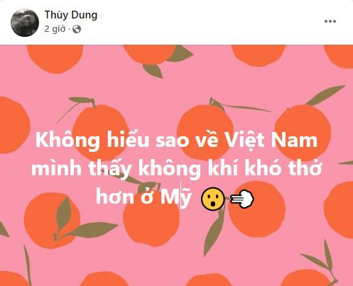 Sao Việt ngày 28/11: Hoa hậu Việt Nam 2008 Thùy Dung với phát ngôn gây tranh cãi