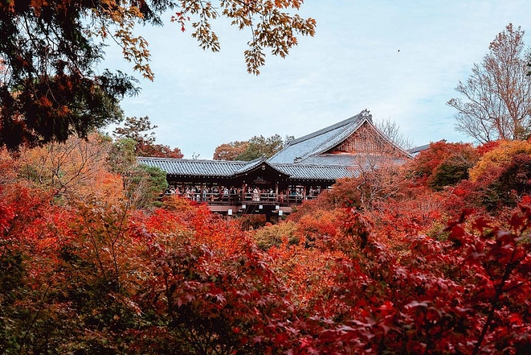 Ngắm nhìn nét đẹp nghệ thuật tại Xứ sở Hoa anh đào – Nhật Bản