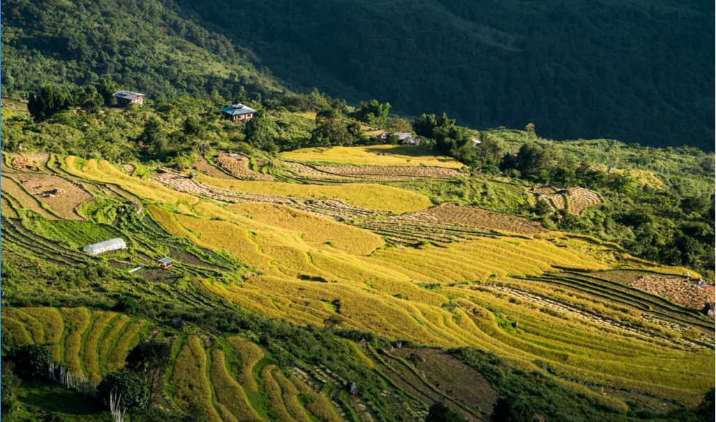 Bhutan – một trong những quốc gia hạnh phúc nhất thế giới qua lời kể của du khách (phần I) bhutan mot trong nhung quoc gia hanh phuc nhat the gioi qua loi ke cua du khach phan i