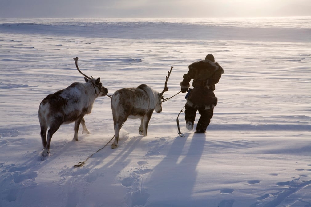 Cuộc sống truyền thống ở Bắc Cực Siberia qua ống kính của nhiếp ảnh gia cuoc song truyen thong o bac cuc siberia qua ong kinh cua nhiep anh gia