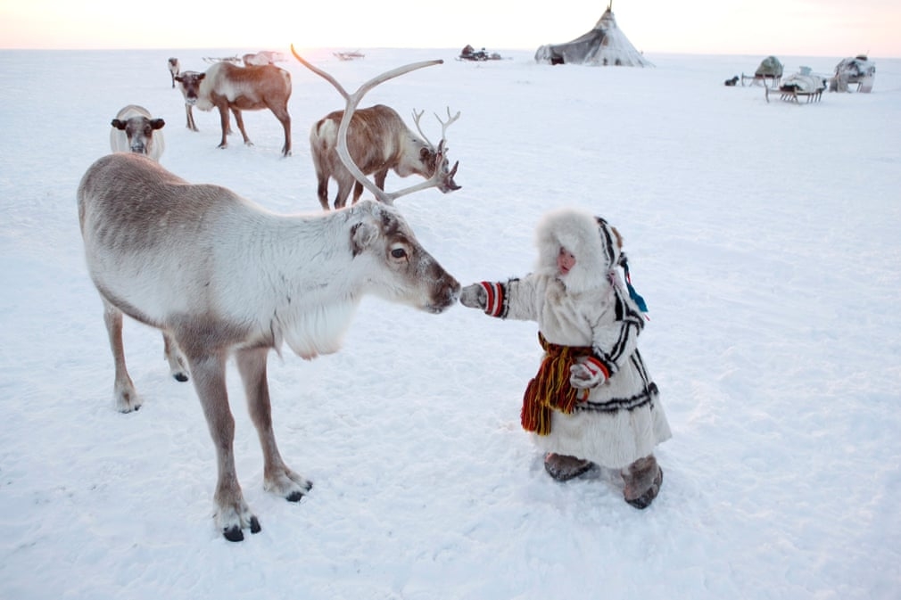 Cuộc sống truyền thống ở Bắc Cực Siberia qua ống kính của nhiếp ảnh gia cuoc song truyen thong o bac cuc siberia qua ong kinh cua nhiep anh gia