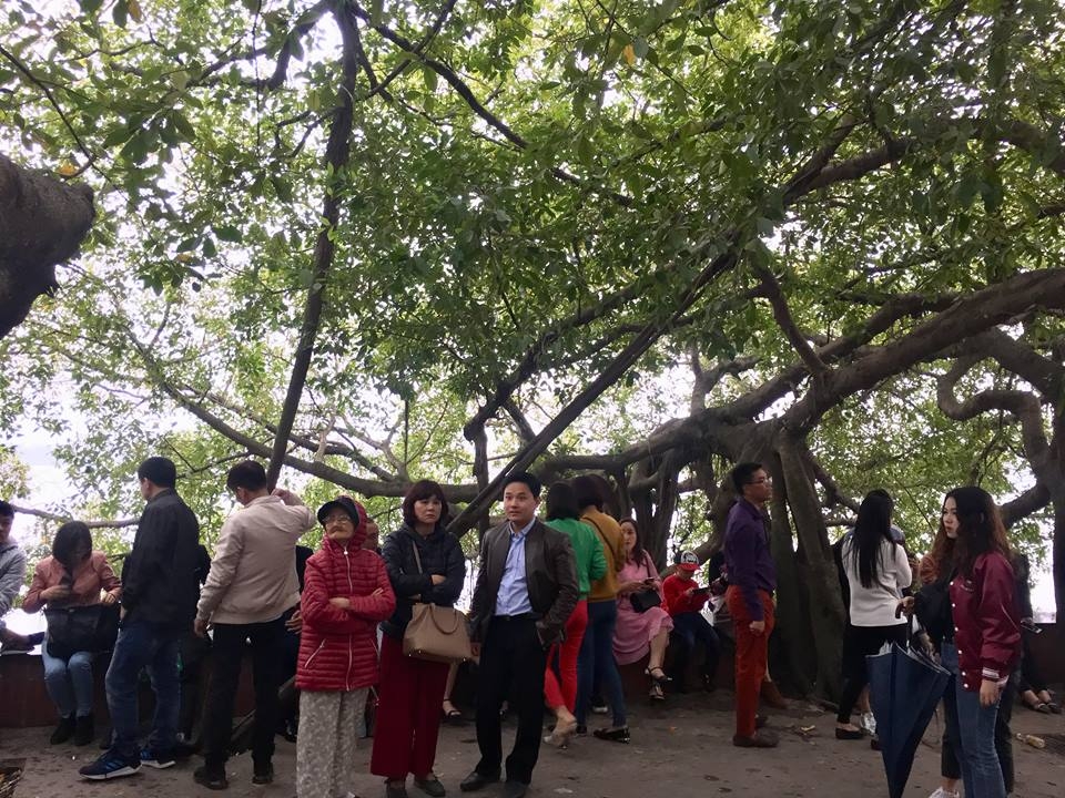 Hà Nội: Người dân thủ đô và du khách thập phương đi lễ Phủ Tây Hồ ngày đầu Xuân ha noi nguoi dan thu do va du khach thap phuong di le phu tay ho ngay dau xuan