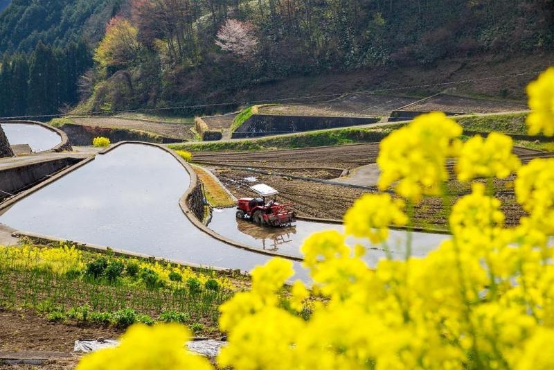 Những ruộng bậc thang châu Á “hút hồn” khách du lịch