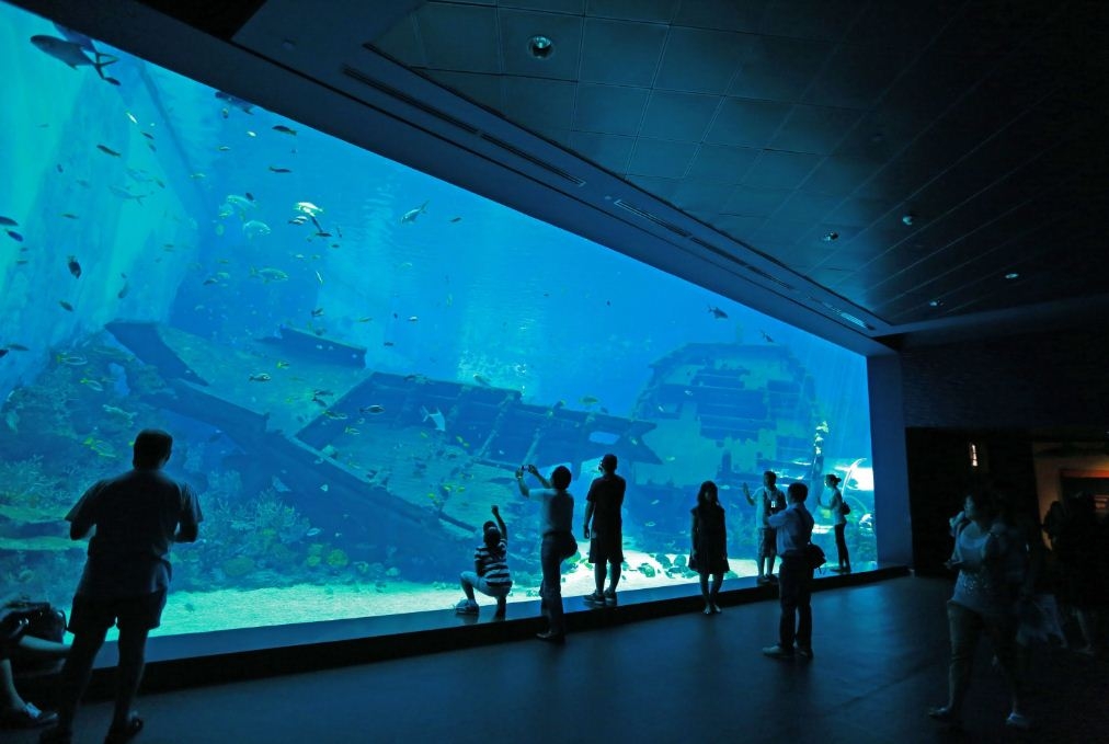 Thủy cung Sea Aquarium Singapore lớn nhất Châu Á có gì hay ho? Thủy cung lớn nhất Đông Nam Á có gì hay?