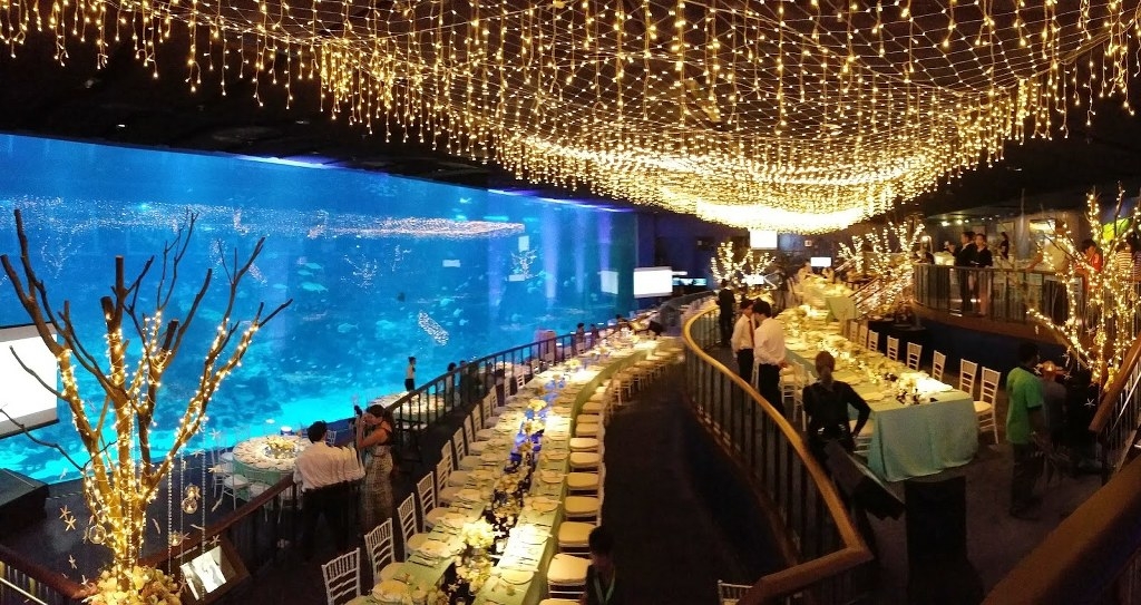Thủy cung Sea Aquarium Singapore lớn nhất Châu Á có gì hay ho? Thủy cung lớn nhất Đông Nam Á có gì hay?