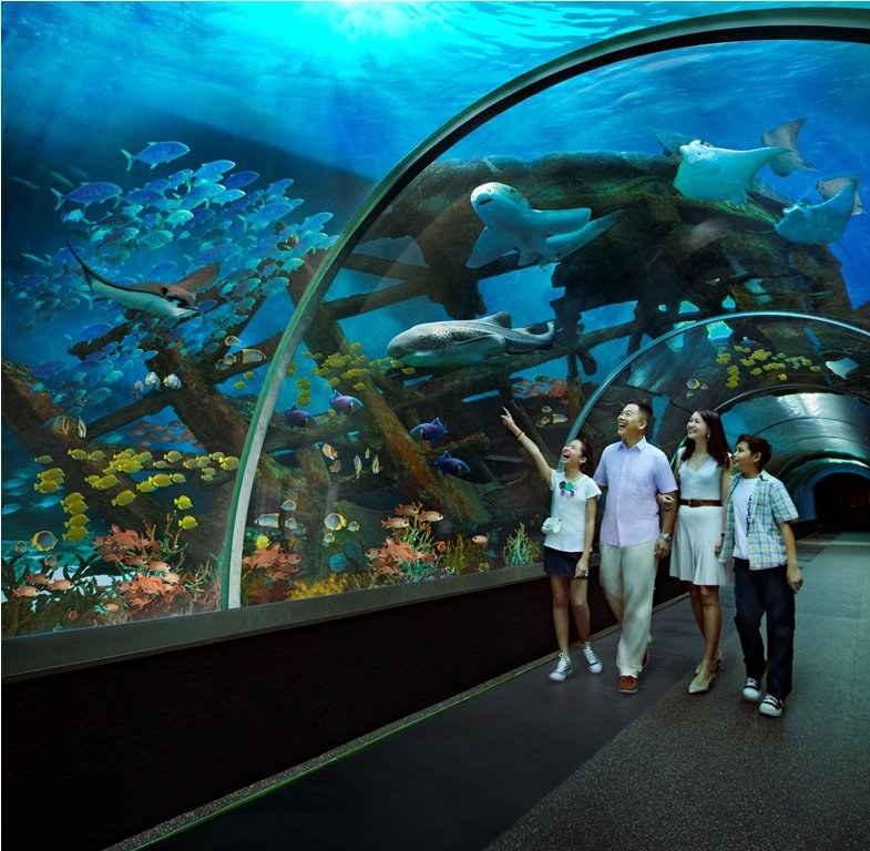 Thủy cung Sea Aquarium Singapore lớn nhất Châu Á có gì hay ho? Thủy cung lớn nhất Đông Nam Á có gì hay?
