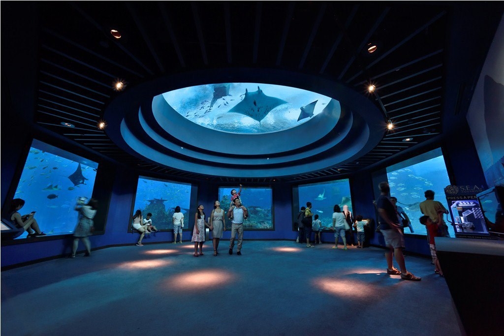 Thủy cung Sea Aquarium Singapore lớn nhất Châu Á có gì hay ho? Thủy cung lớn nhất Đông Nam Á có gì hay?