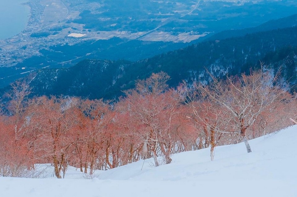Thung lũng Biwako - Thiên đường tuyết trắng bạn nhất định phải đến ở miền Nam Nhật Bản