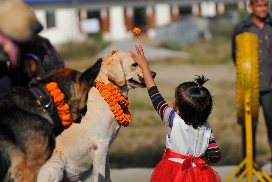 Khám phá Nepal qua những lễ hội truyền thống đầy màu sắc - 4