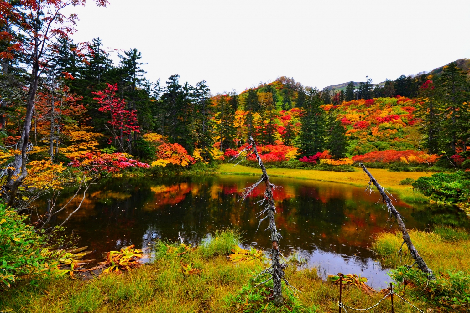 Ngỡ ngàng trước cảnh sắc mê hồn của vườn quốc gia ở Nhật Bản